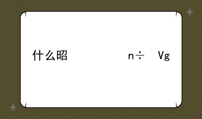 什么是出国留学2+2