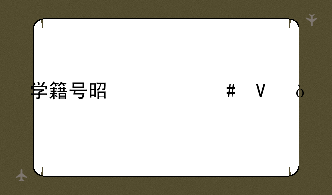学籍号是什么啊？