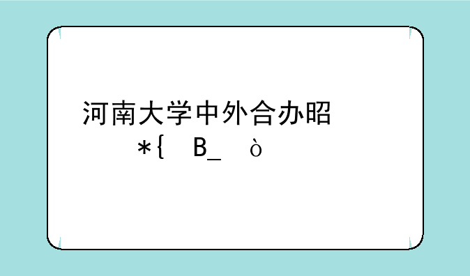 河南大学中外合办是公办吗？