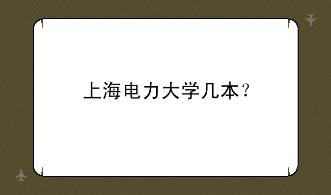 上海电力大学几本？