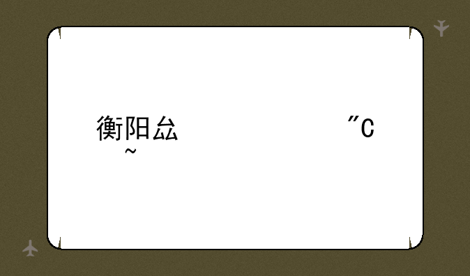 衡阳县中考成绩查询