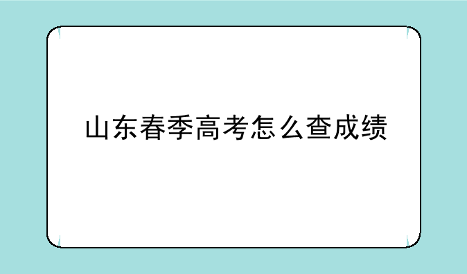 山东春季高考怎么查成绩