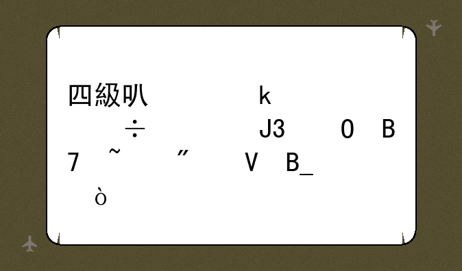 四級可以通过身份证和姓名查分数吗？
