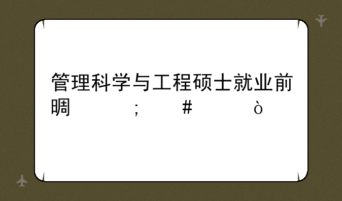 管理科学与工程硕士就业前景怎么样？