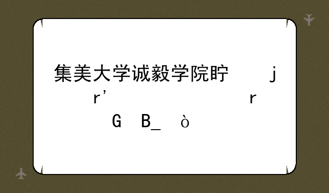 集美大学诚毅学院真的有自考本科吗？
