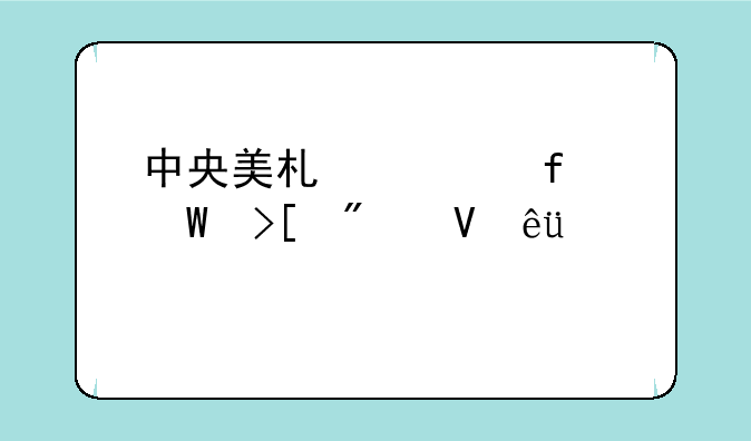 中央美术学院录取分数线-2025艺考生最新政策是什么