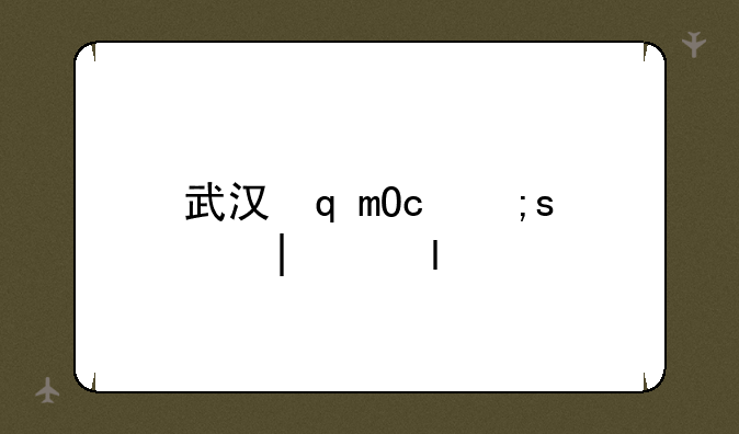 武汉软件工程职业——武汉软件工程职业技术学校
